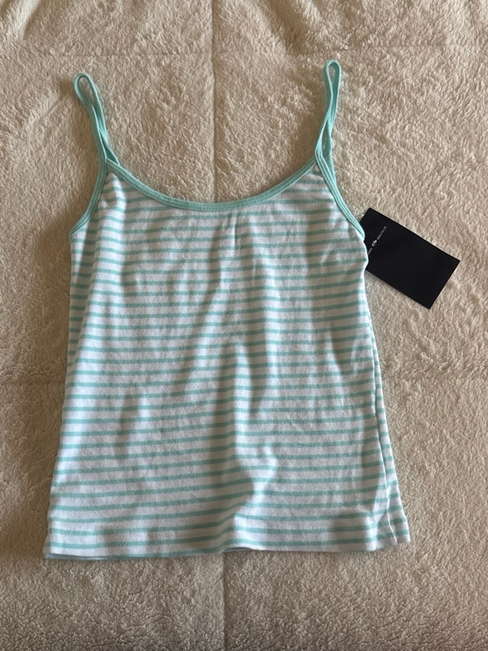 NWT Teal and White Stripe Brandy Melville Tank